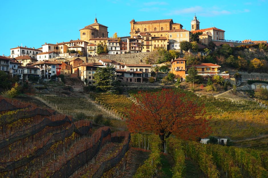 Autumn in Piedmont: Truffles, Vineyards and Hill Towns