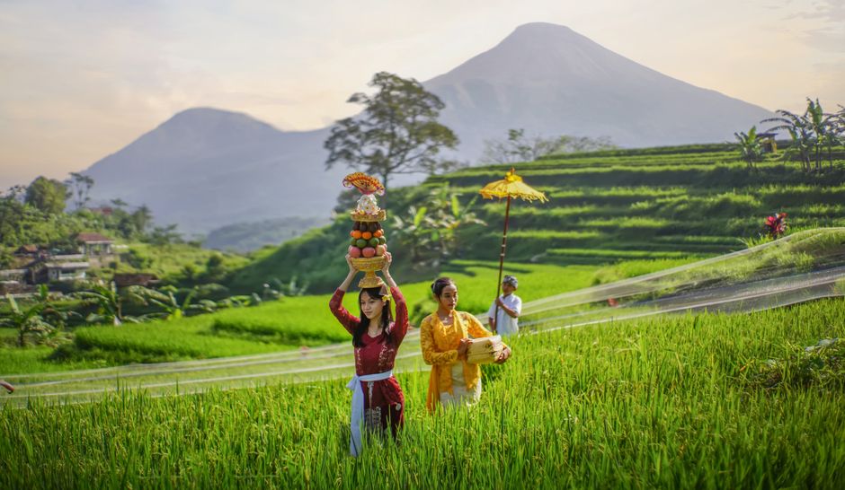 Traditional Balinese ceremony in rice terraces with women in colorful attire offering baskets.