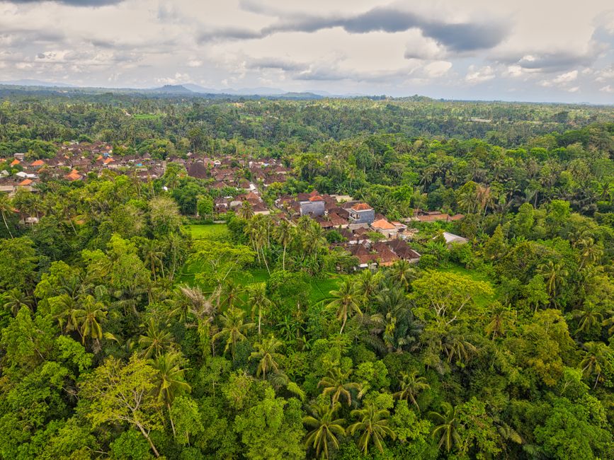 Stunning aerial shot of lush forest and a traditional village in Bali, Indonesia.