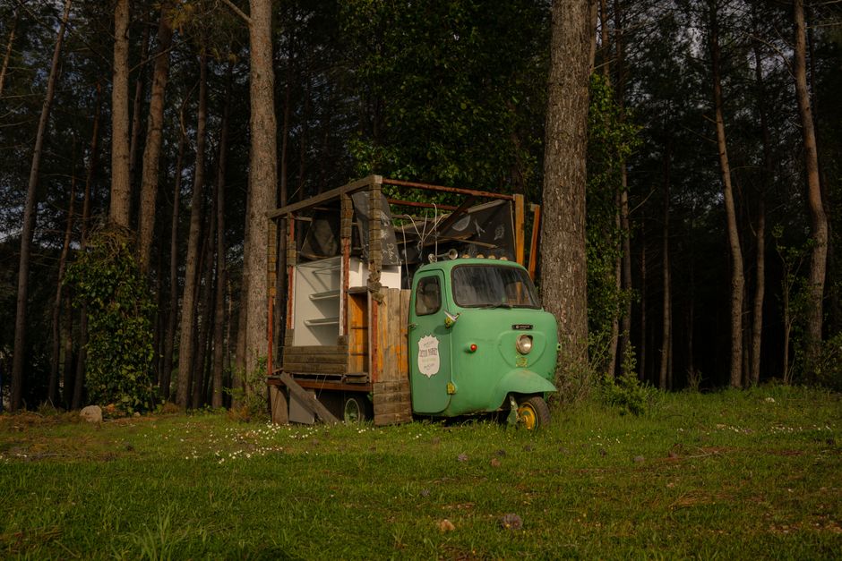 Green vintage van converted into home nestled in serene forest landscape during the day.