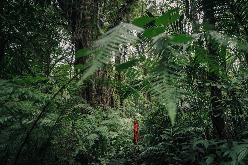 Costa Rica Eco-Friendly Hotels Under 0: 6 Picks That Earn It