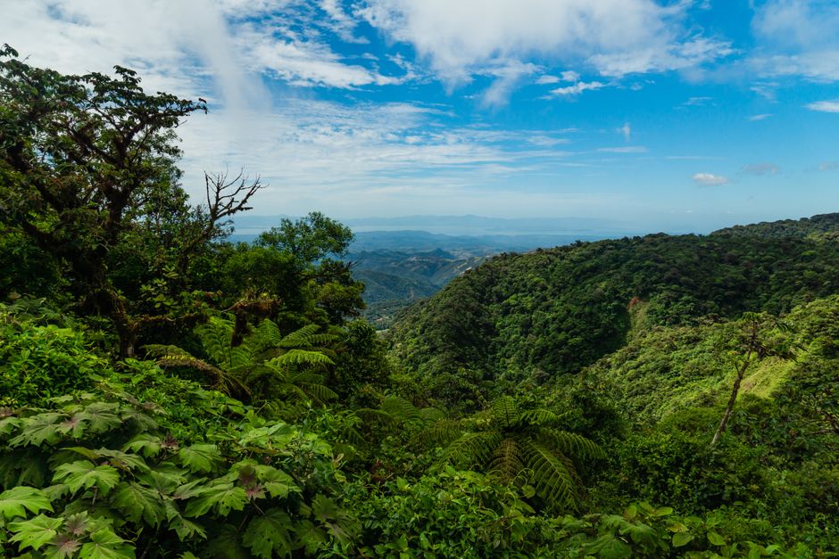 Explore a breathtaking view of lush green mountains and dense forest under a pristine blue sky.