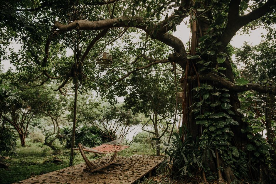 Eco-Friendly Boutique Hotels Costa Rica: What 7 Years of Sustainable Travel Taught Me About Costa Rica’s Best Eco Hotels