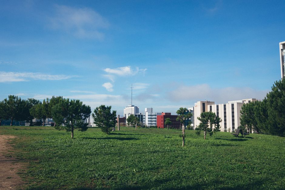 Green park with trees under a bright blue sky, showcasing Lisbon's urban skyline in summer.