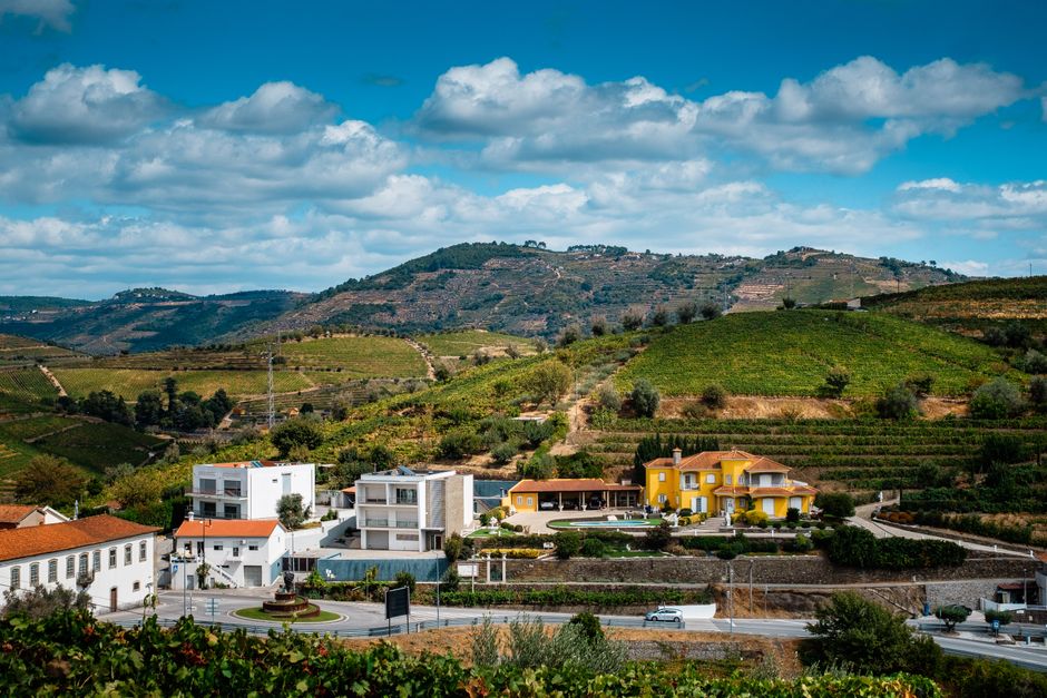 Exploring the Douro Valley During Harvest