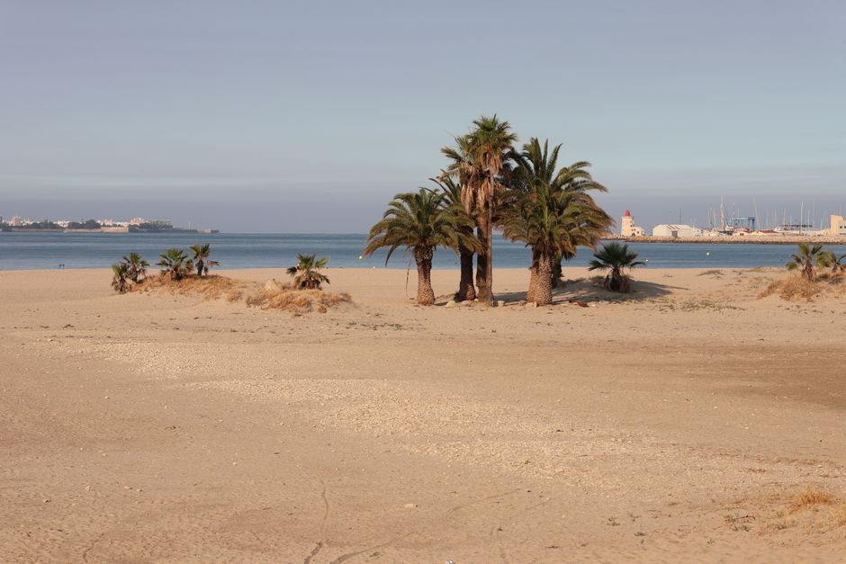 How to Find Quiet Beaches in Popular Destinations