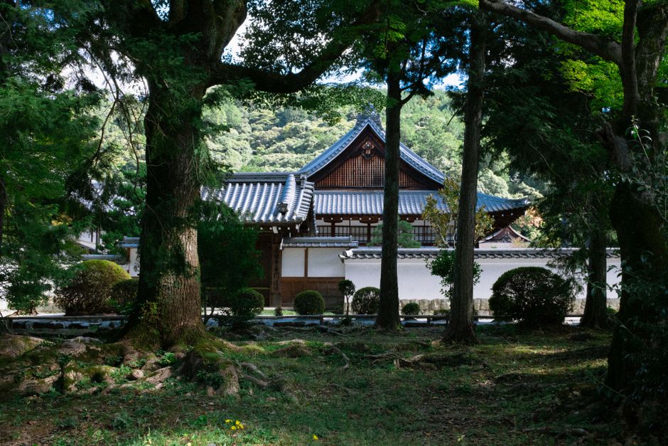 Kyoto Travel Guide 2026: Kyoto in 4 Days: A Culture-Focused Itinerary for 2026