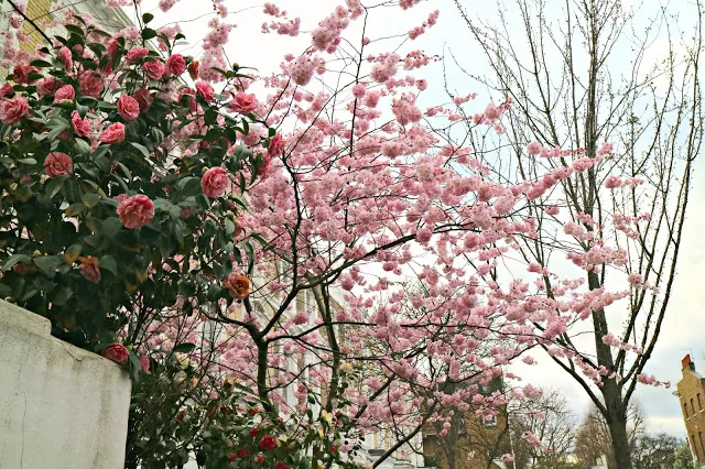 London Insta Walks: South Kensington