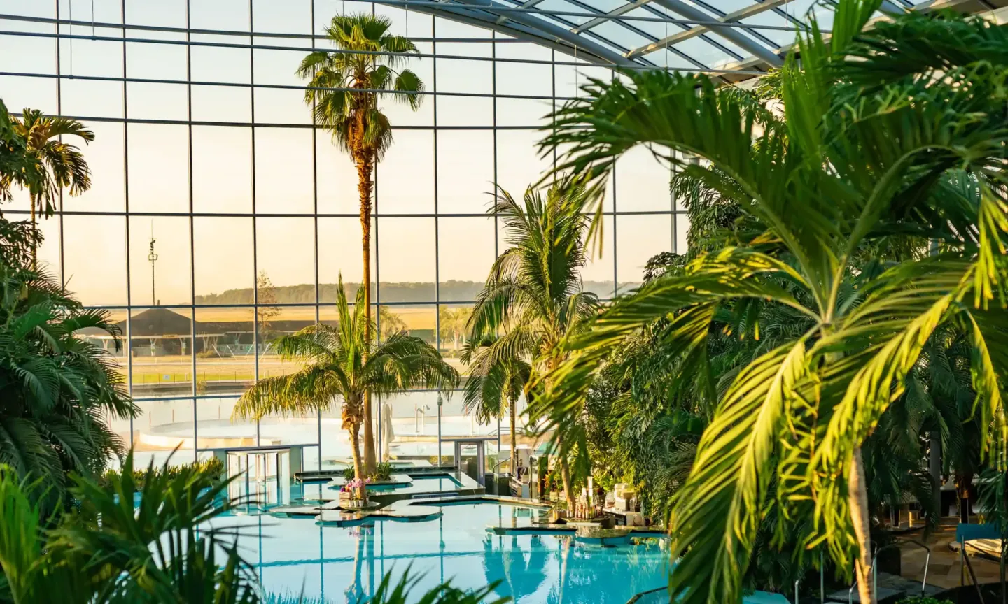 Everything You Need to Know about Therme Bucharest Spa