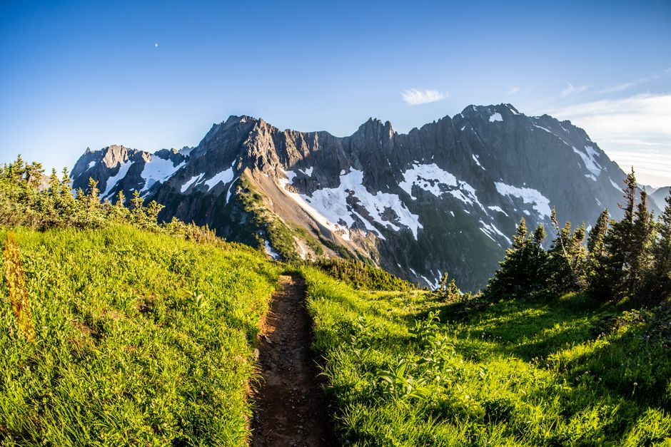 Explore a breathtaking dirt pathway leading to snow-capped peaks in the North Cascades, WA.