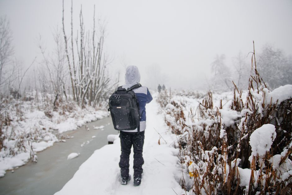 A person walks through a snowy landscape in Jammu and Kashmir, embracing the winter chill.