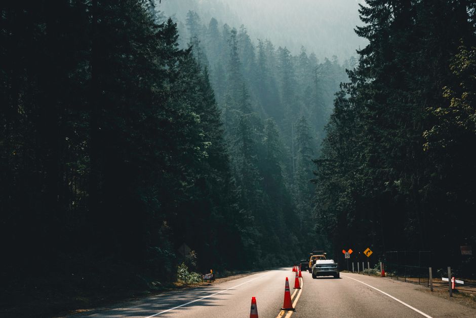 Tranquil drive through lush forested highway in autumn, surrounded by towering trees and construction cones.