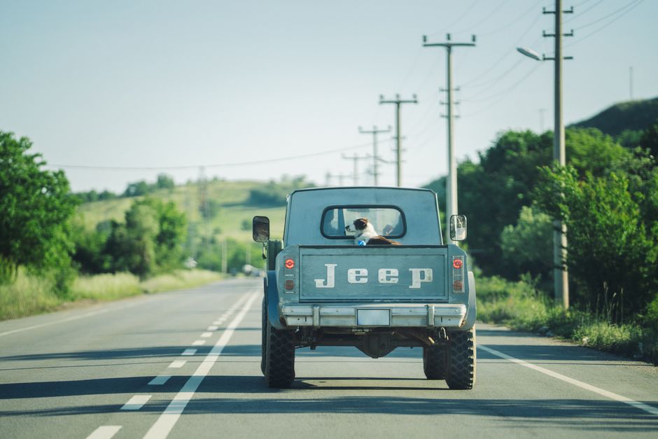 A classic Jeep with a dog in the back driving on a scenic country road during the day.
